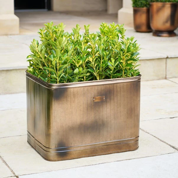 Hampton Rectangular Planter 1 Hampton Rectangular Planter