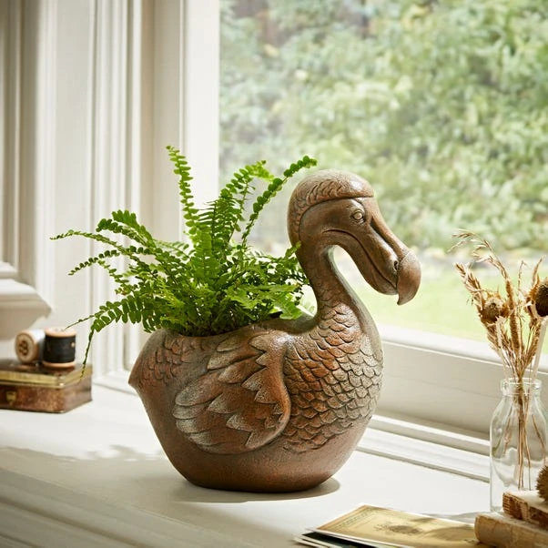 Dodo Plant Pot 1 Dodo Plant Pot