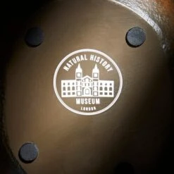 Dodo Plant Pot 7 Dodo Plant Pot -Garden Supply Store 30781920 alt03