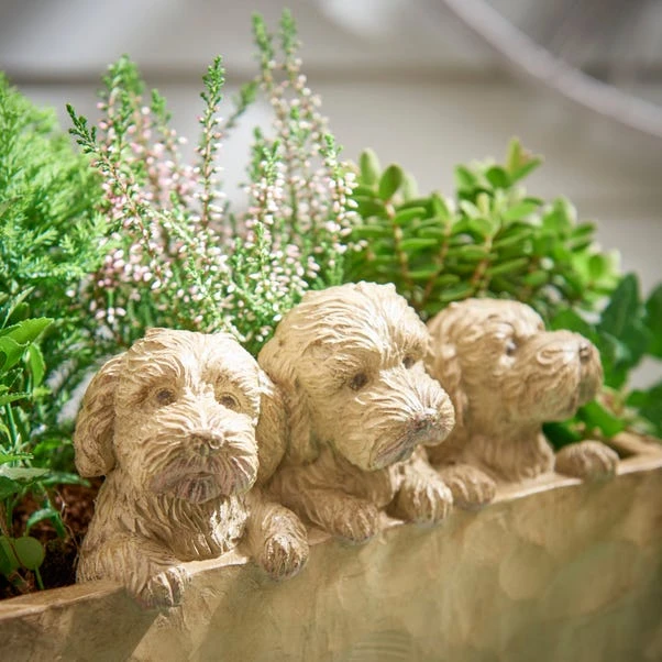 Set Of 3 Cockapoo Planters 2 Set Of 3 Cockapoo Planters - Image 2
