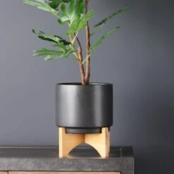 Plain Ceramic Plant Pot On Wooden Stand