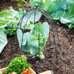 Outdoor Wire Netted Plant Protector -Garden Supply Store 30849550