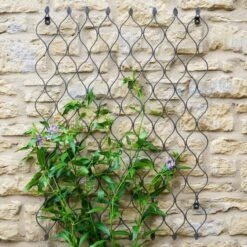 Outdoor Honeycomb Trellis -Garden Supply Store 30849560