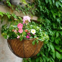 Netted Wire Hanging Basket -Garden Supply Store 30849601