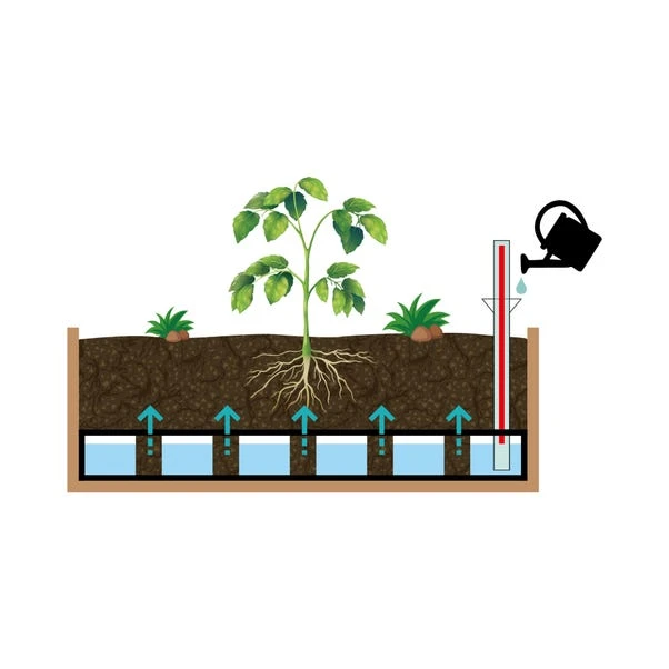 VegTrug Medium Wall Hugger Self Watering Kit 3 VegTrug Medium Wall Hugger Self Watering Kit - Image 3