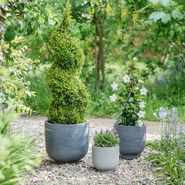 Ivyline Set Of 3 Seattle Plant Pots 4 Ivyline Set Of 3 Seattle Plant Pots - Image 4