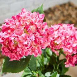 Artificial Hydrangea In Plant Pot -Garden Supply Store 30925749 alt01