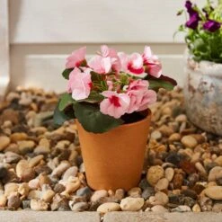 Artificial Geranium In Plant Pot -Garden Supply Store 30926355