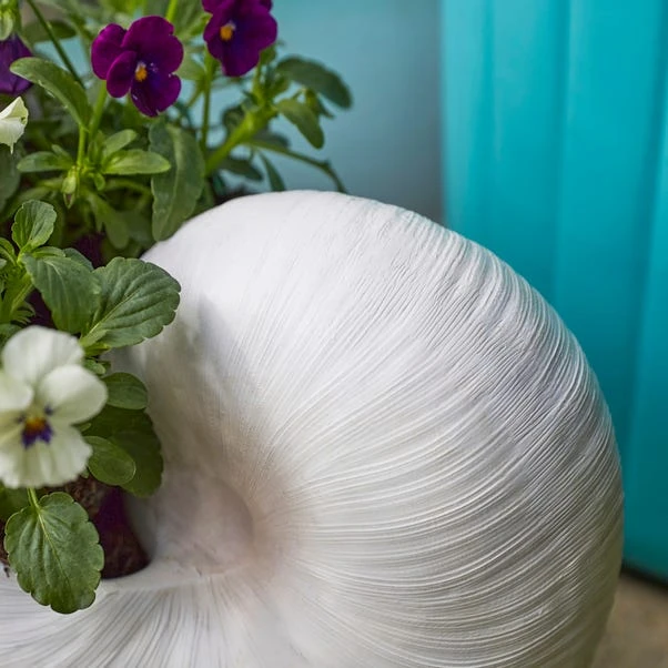 Resin Off White Nautilus Shell Plant Pot 2 Resin Off White Nautilus Shell Plant Pot - Image 2