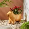 Resin Capybara Plant Pot