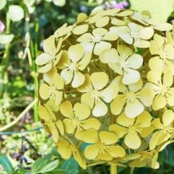 Sophie Robinson Giant Allium Garden Stake -Garden Supply Store 30933368 alt01