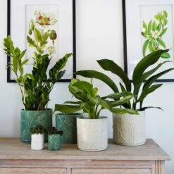 Kew Stoneware Meadow Plant Pot -Garden Supply Store 30937036 alt02