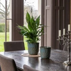 Kew Embossed Fern Plant Pot 21 Kew Embossed Fern Plant Pot -Garden Supply Store 30937045