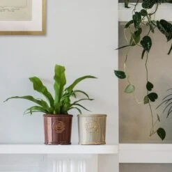 Kew Reactive Glaze Plant Pot -Garden Supply Store 30937048