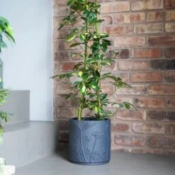 Kew Stoneware Meadow Plant Pot -Garden Supply Store 30937067