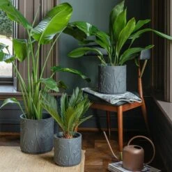 Kew Stoneware Meadow Plant Pot -Garden Supply Store 30937067 alt01