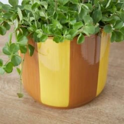 Elements Striped Ceramic Plant Pot -Garden Supply Store 30943035 alt01