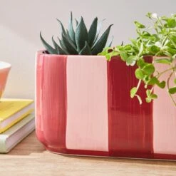 Elements Striped Ceramic Windowsill Plant Pot -Garden Supply Store 30943036 alt01