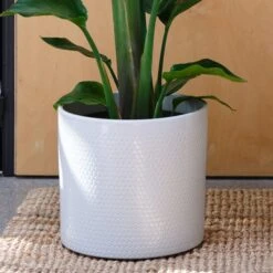 Capri Plant Pot -Garden Supply Store 30971610 alt01