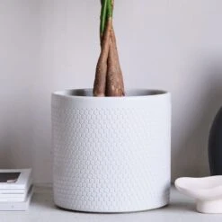 Capri Plant Pot -Garden Supply Store 30971619 alt01