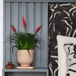 Ribbed Ceramic Plant Pot -Garden Supply Store 30971656