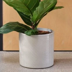 Capri Plant Pot -Garden Supply Store 30971666 alt01