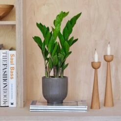 Ribbed Ceramic Plant Pot -Garden Supply Store 30971668