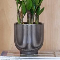 Ribbed Ceramic Plant Pot -Garden Supply Store 30971668 alt01