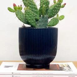 Ribbed Ceramic Plant Pot -Garden Supply Store 30971674 alt01