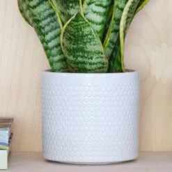 Capri Plant Pot -Garden Supply Store 30971682 alt01