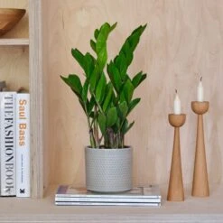 Capri Plant Pot -Garden Supply Store 30971685