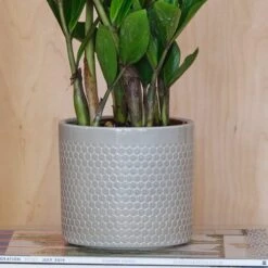 Capri Plant Pot -Garden Supply Store 30971685 alt01