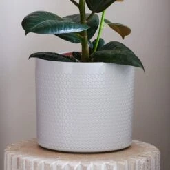 Capri Plant Pot -Garden Supply Store 30971692 alt01