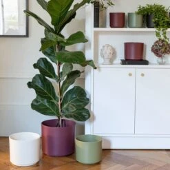 Prague Ceramic Plant Pot -Garden Supply Store 30976775 alt09